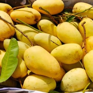 ৫ কেজি কাটিমন আম